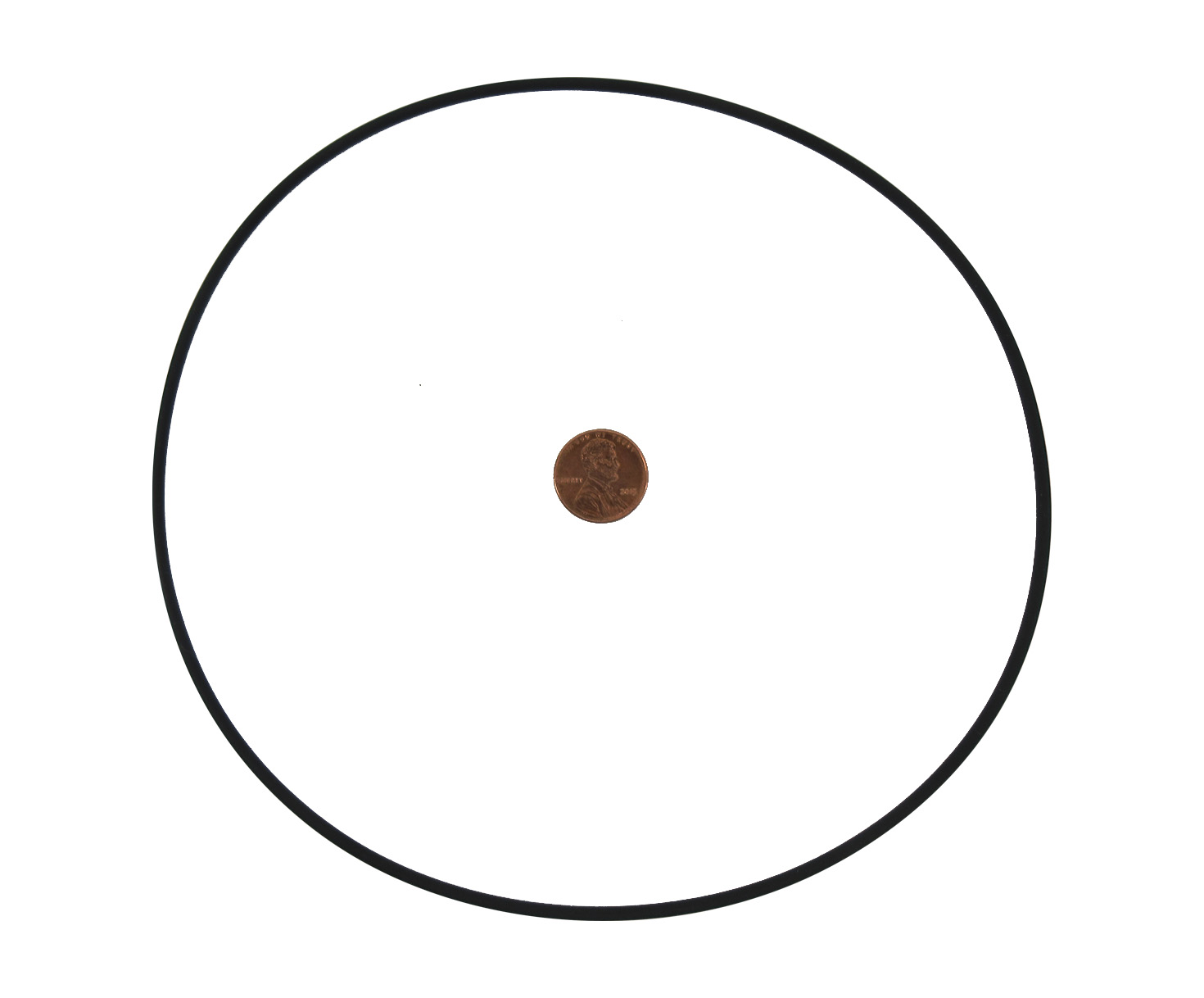 Military Specification M83248/1-166 O-Ring - 25/Pack