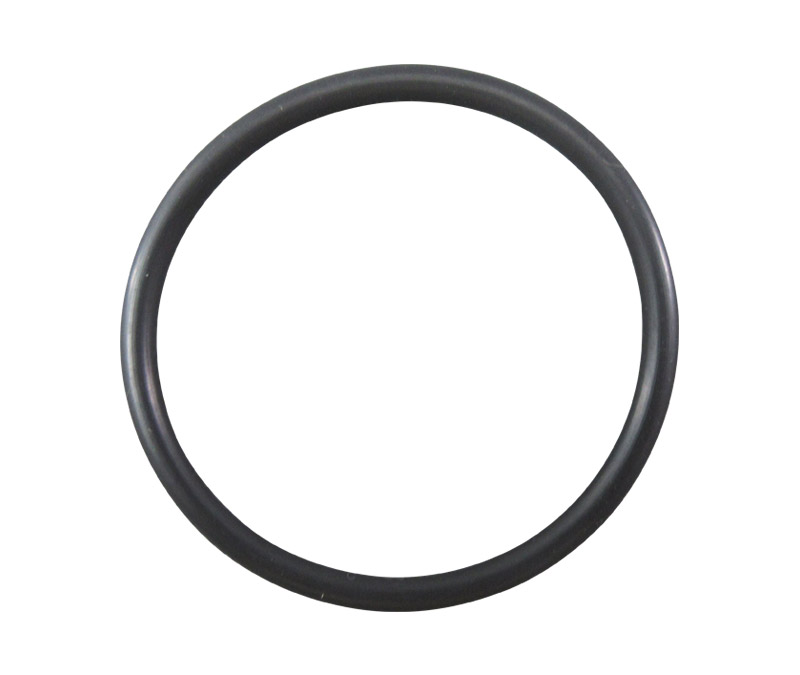 SAE Aerospace Standard AS3209-225 O-Ring - 10/Pack