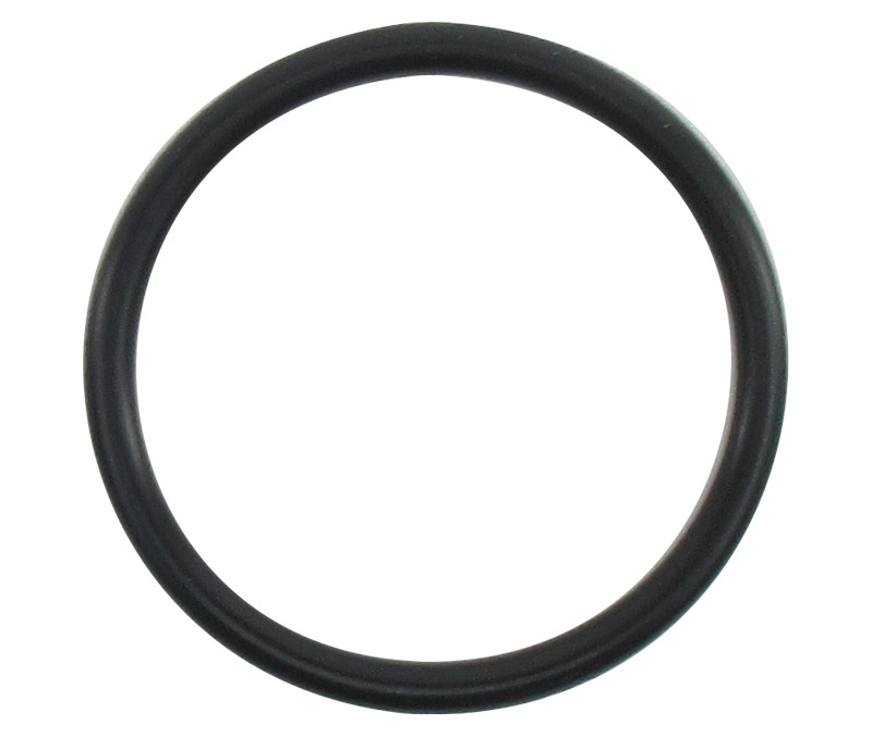 SAE Aerospace Standard AS3209-123 O-Ring - 20/Pack