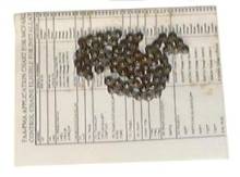 McFarlane Aviation MCS2295P25-71 FAA-PMA Aft Elevator Trim Tab Chain