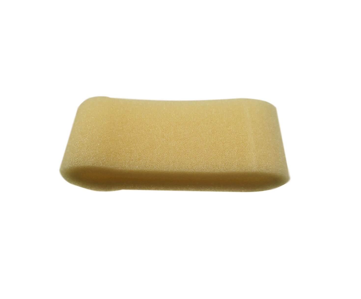 Piper 751-815 Vacuum Regulator Filter