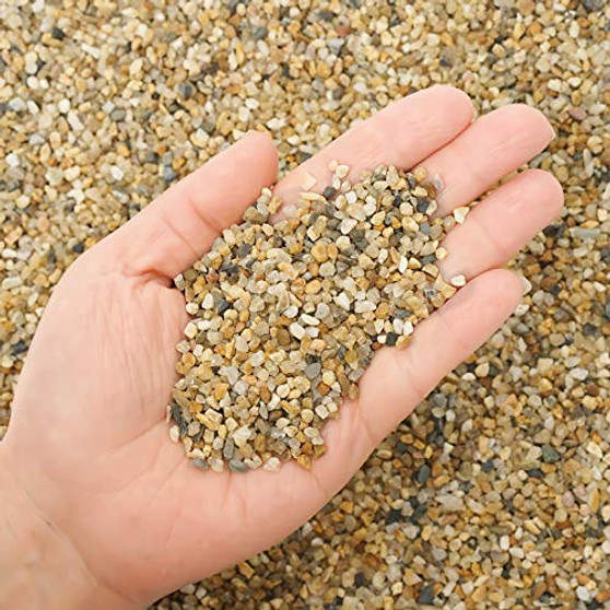 2.7 lb Coarse Sand Stone - Succulents and Cactus Bonsai DIY Projects Rocks, Decorative Gravel for Plants and Vases Fillers?Terrarium, Fairy Gardening, Natural Stone Top Dressing for Potted Plants.