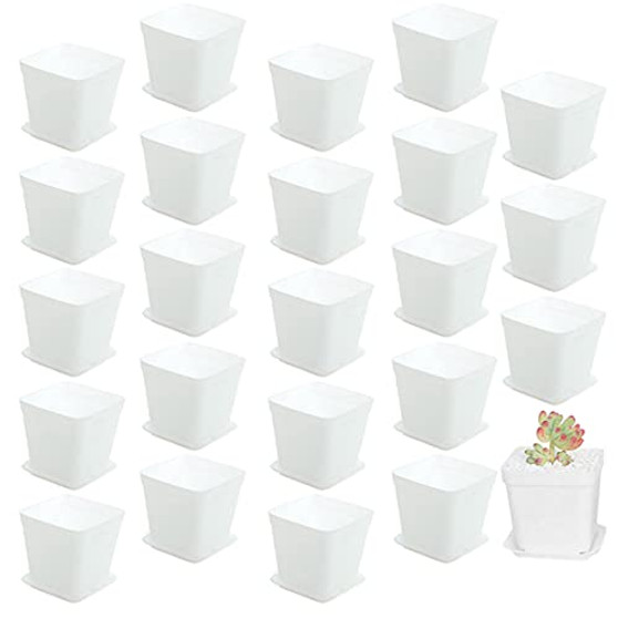 24 Pack 3 Inch White Square Plastic Plant Pots with SaucerSeedling Nursery Transplanting Planter ContainerWhite Square Plastic Plant Potsfor SucculentsFlowersCactusGarden Office and Balcony Decor