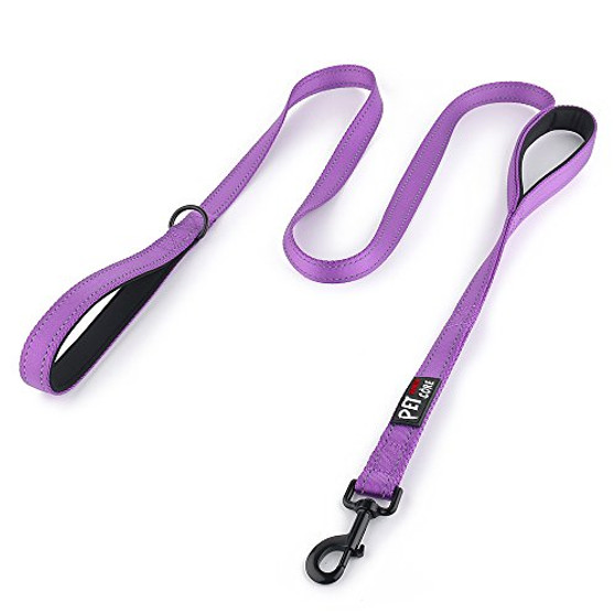 Pioneer Petcore Dog Leash 6ft Long,Traffic Padded Two Handle,Heavy Duty,Reflective Double Handles Lead for Control Safety Training,Leashes for Large Dogs or Medium Dogs,Dual Handles Leads (Purple)