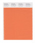 PANTONE Smart 16-1344X Color Swatch Card Dusty Orange