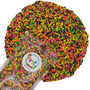 FirstChoiceCandy Rainbow Nerds Bulk Candy -2 Pound-