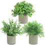 Joyhalo 3 Pack Artificial Potted Plants?Faux Eucalyptus  and  Rosemary Greenery in Pots Small Houseplants for Indoor Tabletop Decor