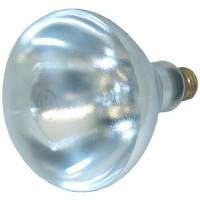 SHAT-R-SHIELD | Heat Lamp Bulb