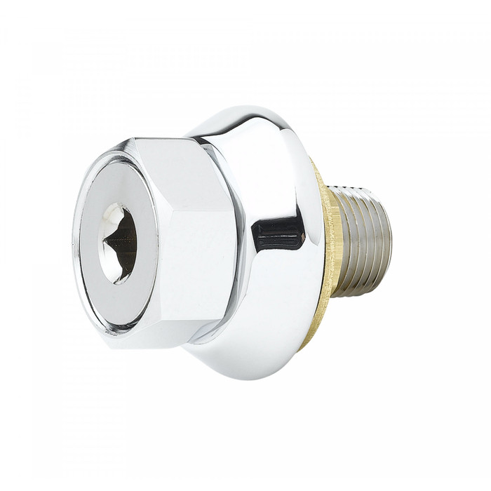 T&S Brass | Male Inlet