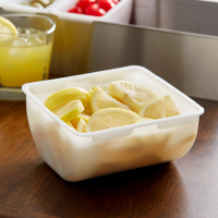 Rubbermaid | Plastic  Garnish Insert (Quart)