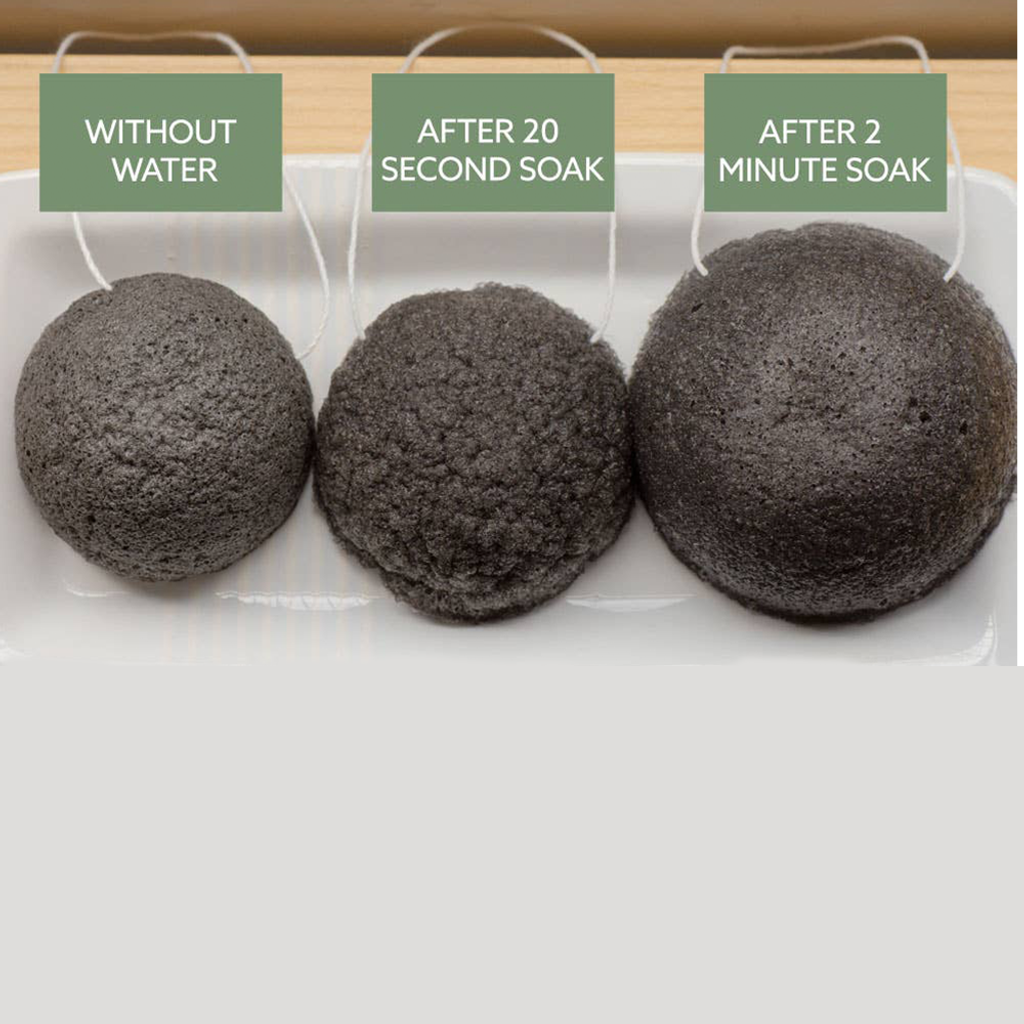 ED-CHARCOAL FACE SPONGE