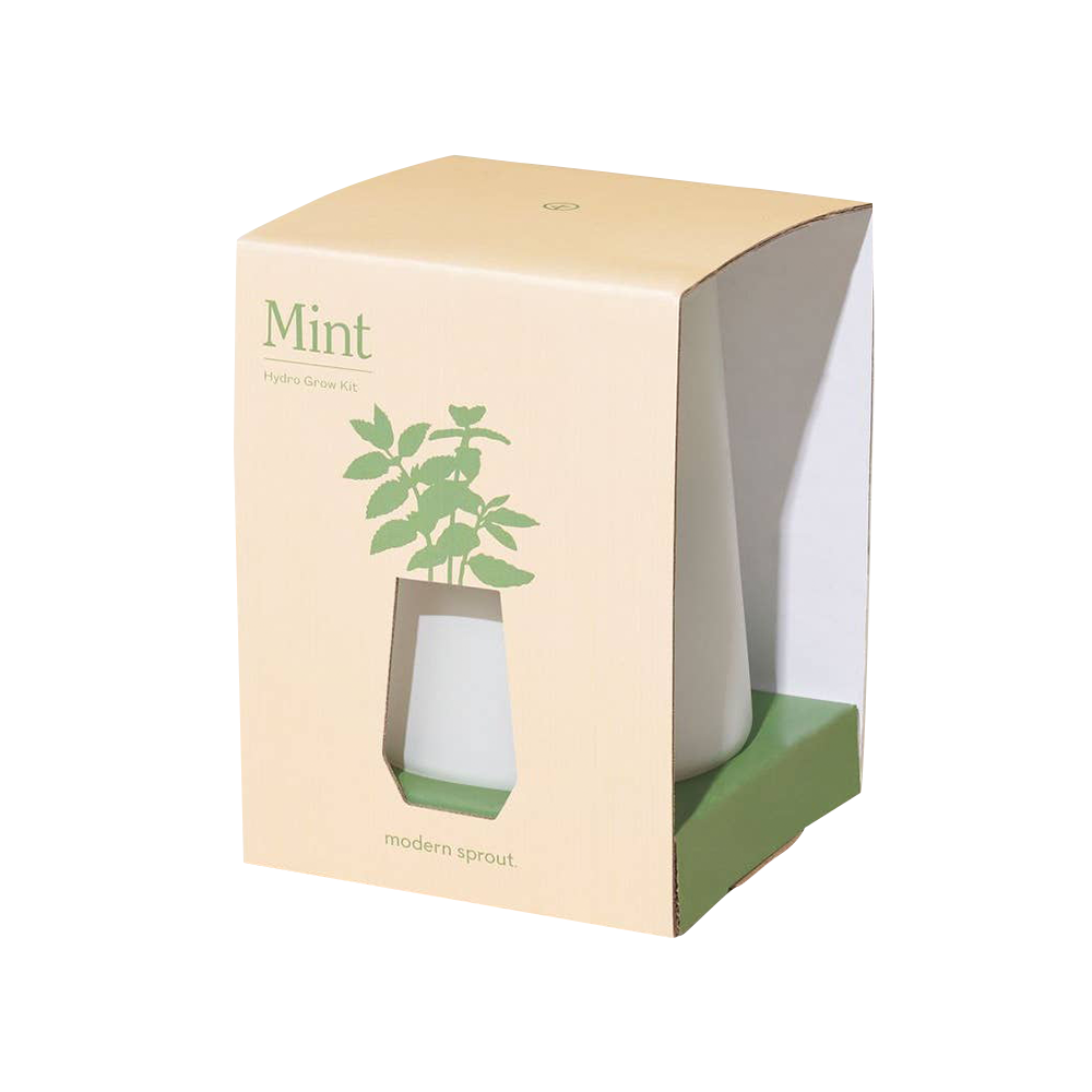 MS-TAPRD TUM-MINT