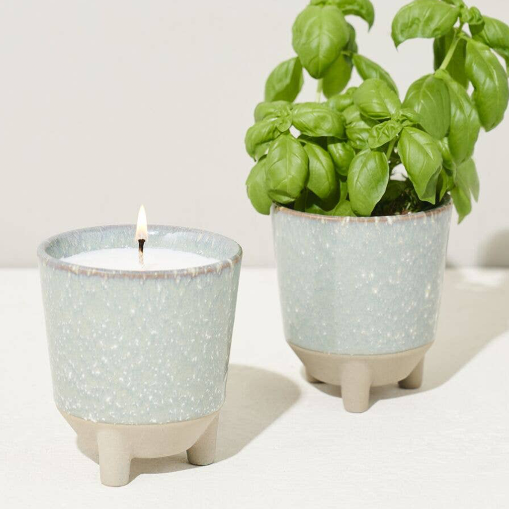 MS-GG CANDLE-BASIL