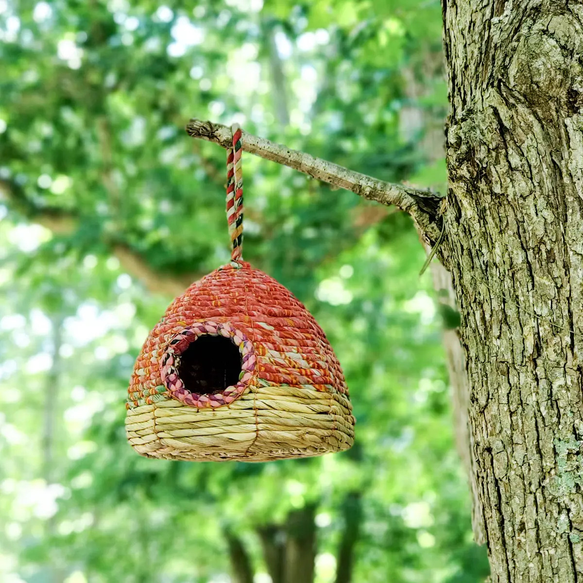 Korissa Handwoven Seagrass & Sari Bird Nester Birdhouse - Thumbnail 4