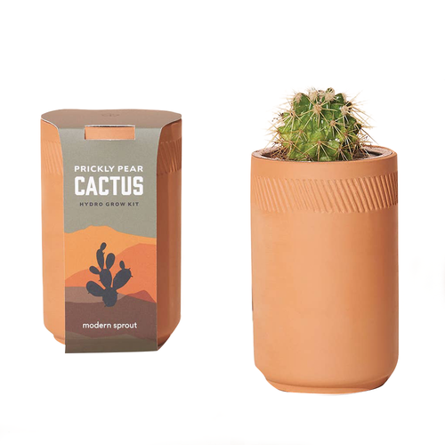 MS-TERRA KIT-CACTUS