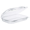 Staylock Clear Hinged Lid Containers, 9.4 X 6.8 X 2.1, Clear, 250/carton