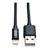 Lightning To Usb Cable, 10 Ft, Black