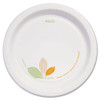 Bare Paper Eco-forward Dinnerware, 8 1/2" Plate, Green/tan, 250/carton