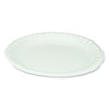 Laminated Foam Dinnerware, Plate, 10.25" Diameter, White, 540/carton