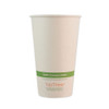 Notree Paper Hot Cups, 16 Oz, Natural, 1,000/carton