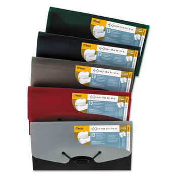 Expandables Expanding File For Checks, 13 Sections, 1/13-cut Tab, Randomly Assorted