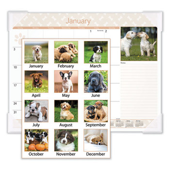 Calendar,dskpd,mnth,pups