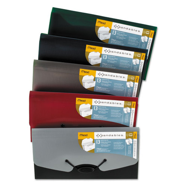 Expandables Expanding File For Checks, 13 Sections, 1/13-cut Tab, Randomly Assorted