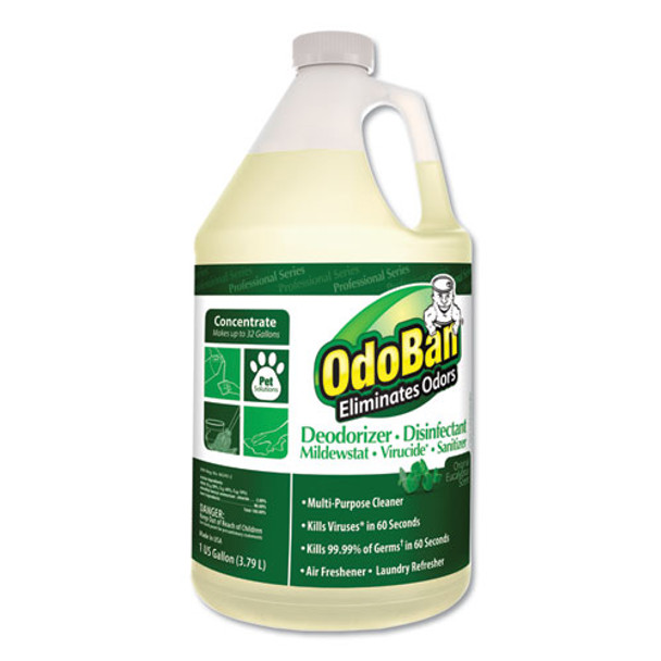 Concentrated Odor Eliminator And Disinfectant, Eucalyptus, 1 Gal Bottle