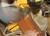 CP505A-12 Combination Protractor