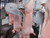 94370-119W CarcassKutter™ Premium Blade