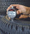 3805B Electronic Durometer - Shore A Scale