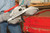 BM24 Portaband Blades
