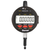 W2900-6 Electronic Indicator W2900-6 Electronic Indicator