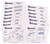 1715 Student Notebook Pages