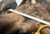 SS123-1 Stainless Steel Reciprocating Saw Blade