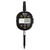 2900-6M-25 Electronic Indicator