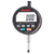 F2720IQM Electronic Indicator