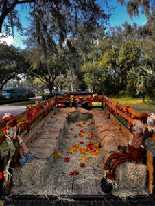 Truck Pulled Hayride