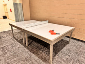 LED Ping Pong Table