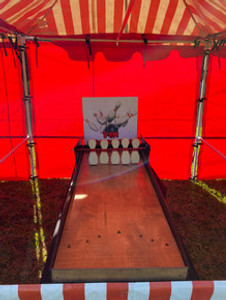 Mini bowling game rental featuring tabletop lane and ball setup — perfect for birthday parties, fundraisers, and corporate events.