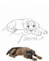 Custom Pet Portrait