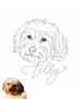 Custom Pet Portrait