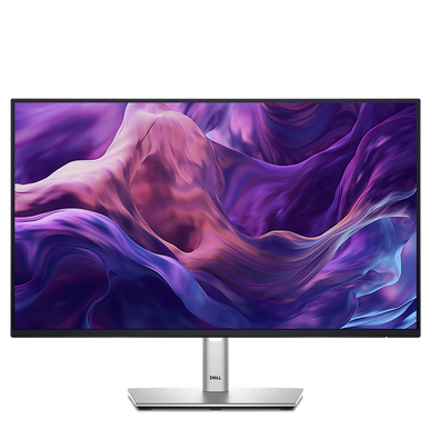 Dell 24" IPS Monitor