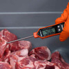 Walton's Waterproof Thermometer Action