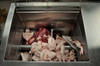 Meat being mixed in a Hall 60 Mixer Grinder