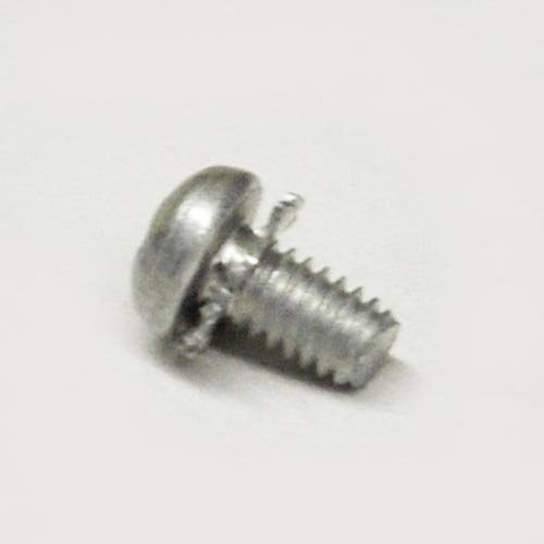 Screw (8-32x1/4) #6