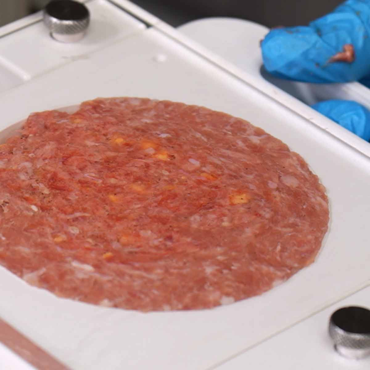 Walton S Quick Patty Maker Walton S