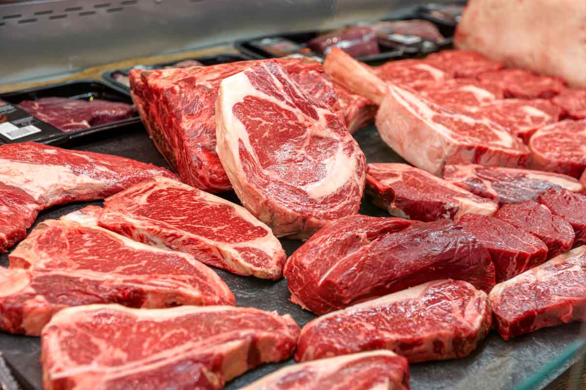 Choosing the best Vacuum Sealer for  me