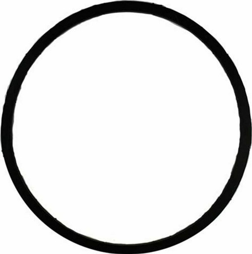 Tecumseh O Ring 33487
