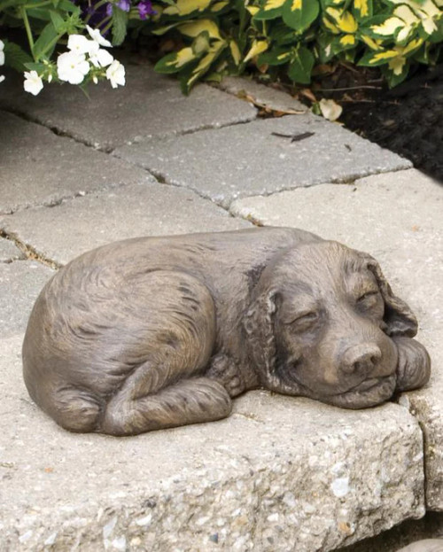 Spanky - Spaniel - 2160
